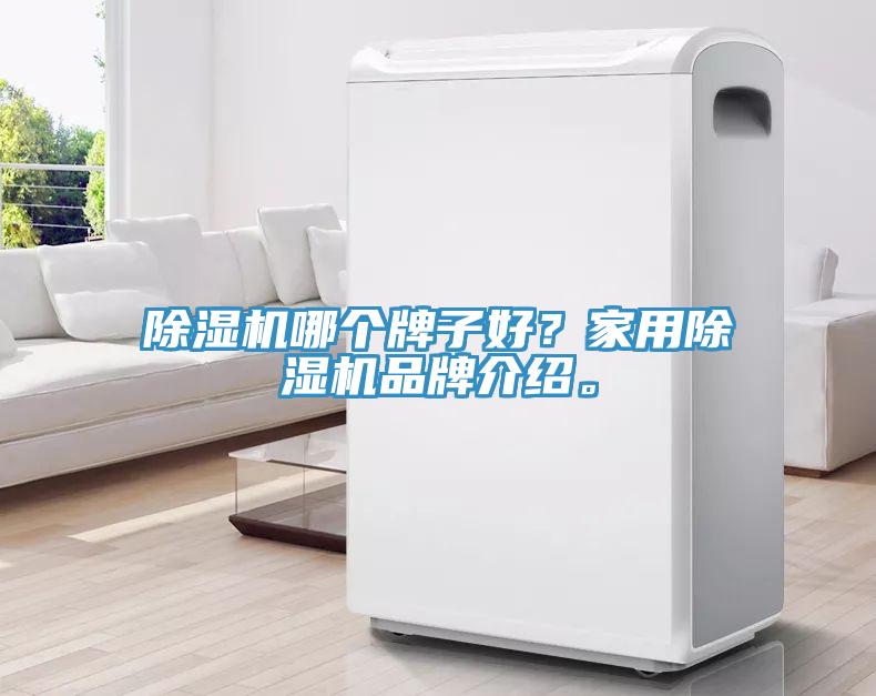 91看片网站哪個牌子好？家用91看片网站品牌介紹。