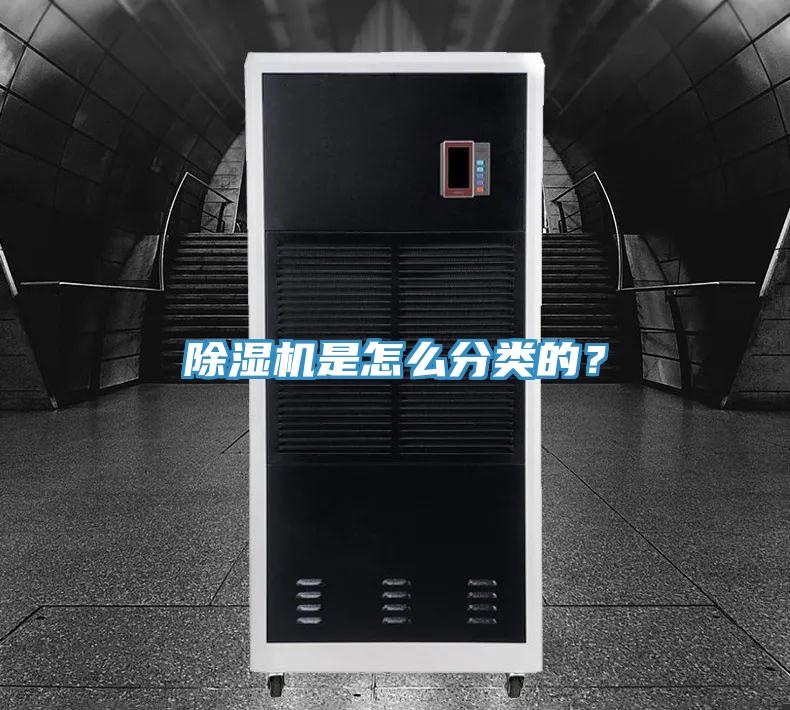 91看片网站是怎麽分類的？