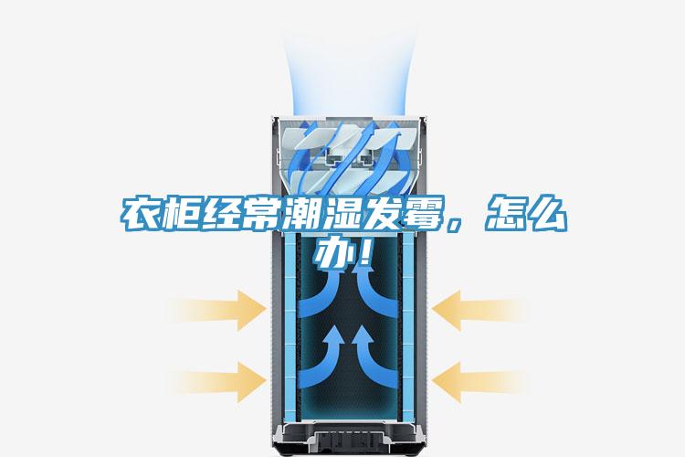 衣櫃經常潮濕發黴，怎麽辦！