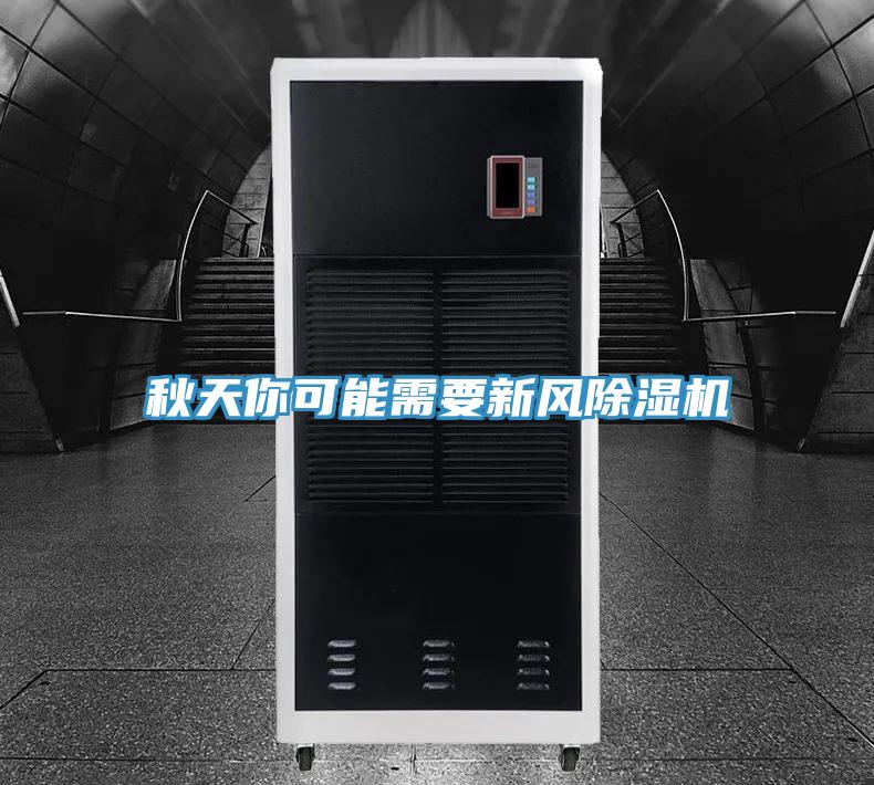 秋天你可能需要新風91看片网站