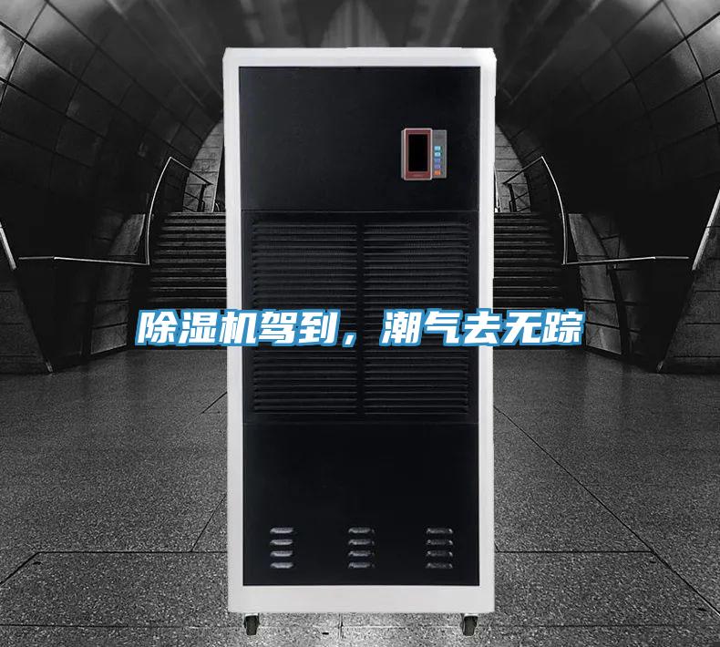 91看片网站駕到，潮氣去無蹤