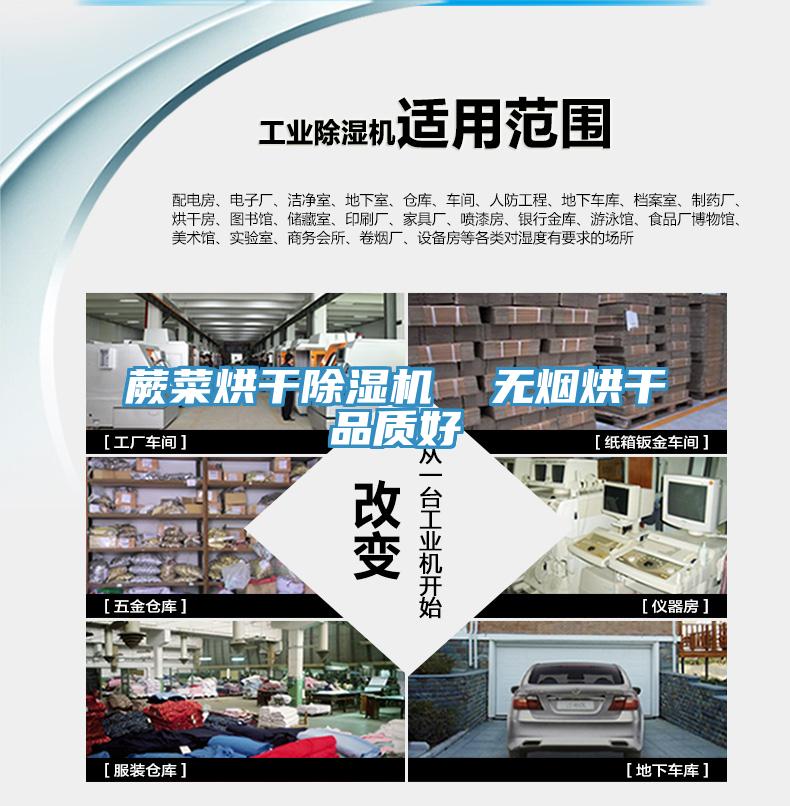 蕨菜烘幹91看片网站  無煙烘幹品質好