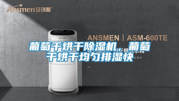 葡萄幹烘幹91看片网站，葡萄幹烘幹均勻排濕快