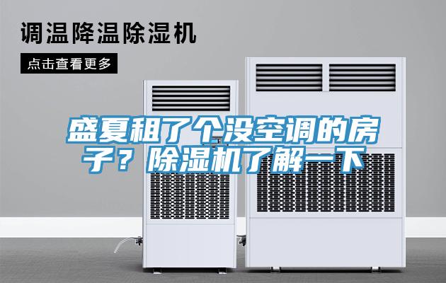 盛夏租了個沒空調的房子？91看片网站了解一下