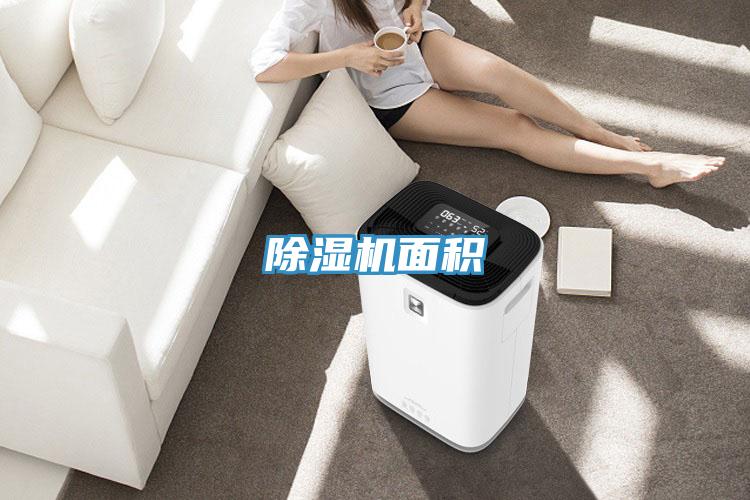 91看片网站麵積