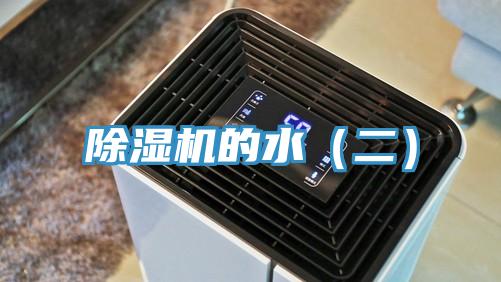 91看片网站的水（二）
