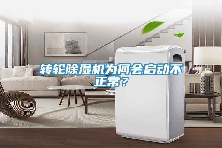 轉輪91看片网站為何會啟動不正常？