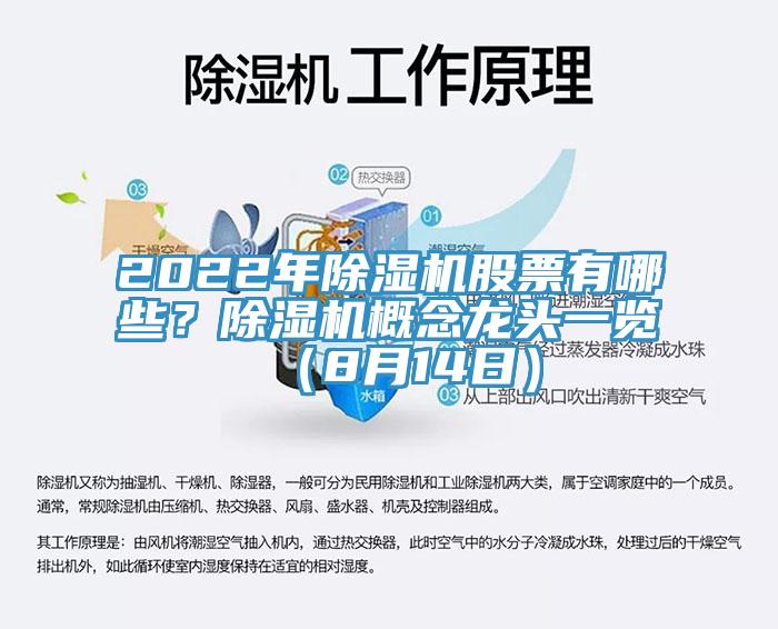 2022年91看片网站股票有哪些？91看片网站概念龍頭一覽（8月14日）