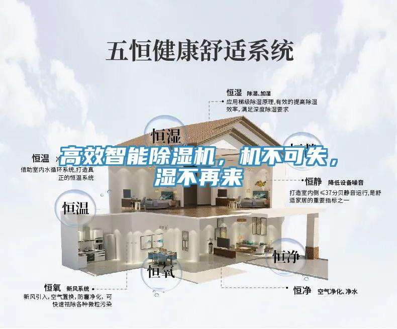 高效智能91看片网站，機不可失，濕不再來