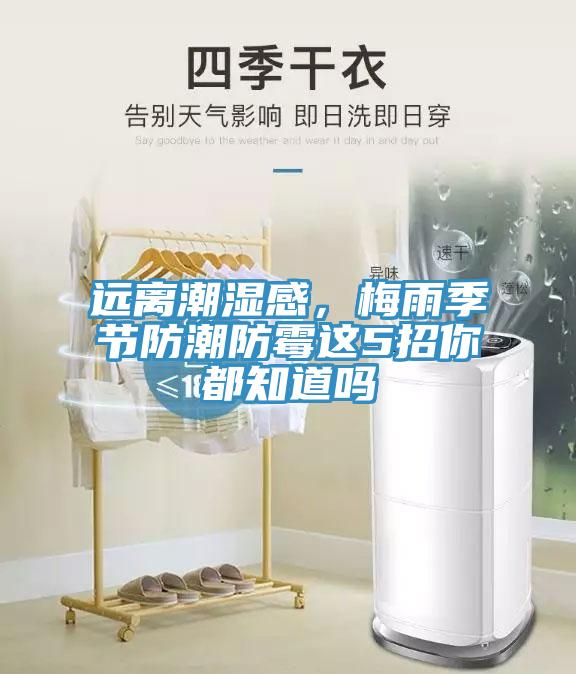 遠離潮濕感，梅雨季節防潮防黴這5招你都知道嗎