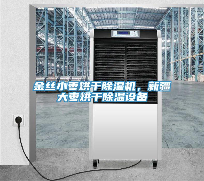 金絲小棗烘幹91看片网站，新疆大棗烘幹除濕設備