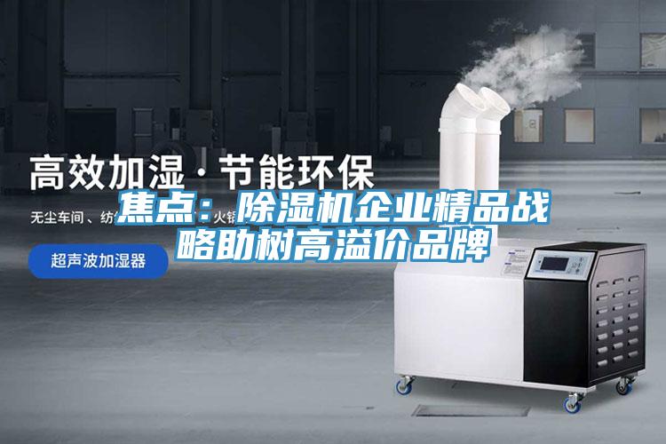 焦點：91看片网站企業精品戰略助樹高溢價品牌