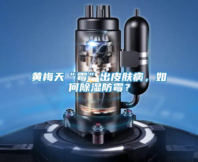 黃梅天“黴”出皮膚病，如何除濕防黴？