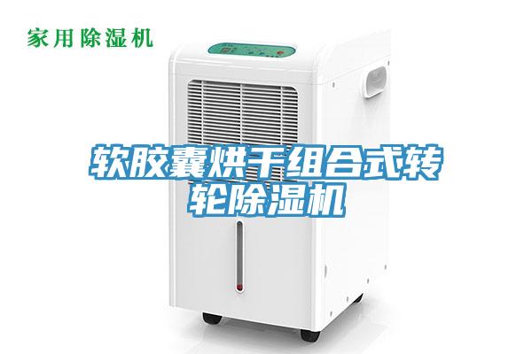 軟膠囊烘幹組合式轉輪91看片网站
