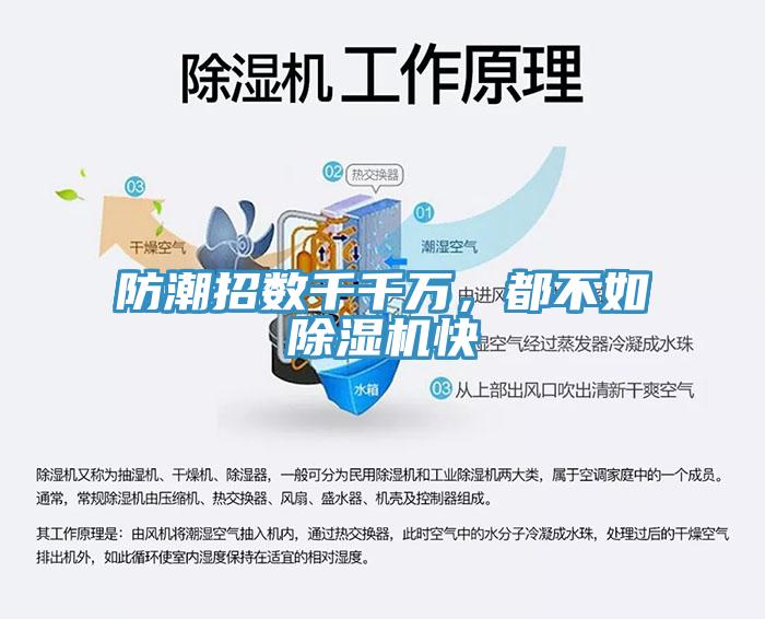 防潮招數千千萬，都不如91看片网站快