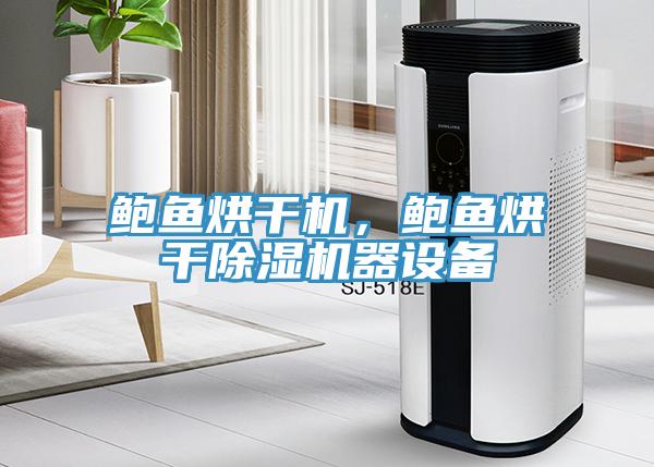 鮑魚烘幹機，鮑魚烘幹91看片网站器設備