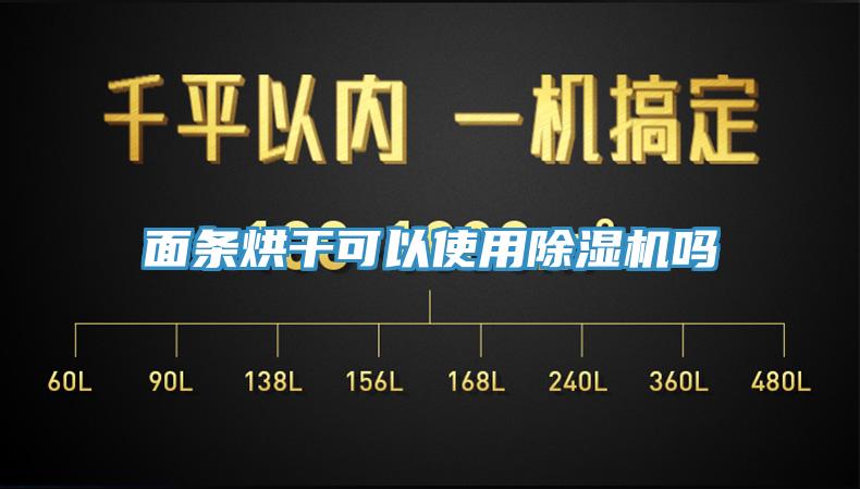 麵條烘幹可以使用91看片网站嗎