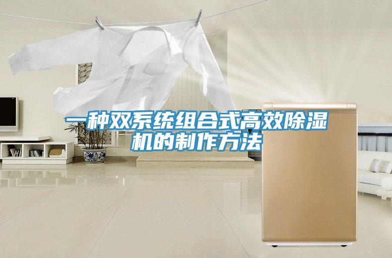 一種雙係統組合式高效91看片网站的製作方法