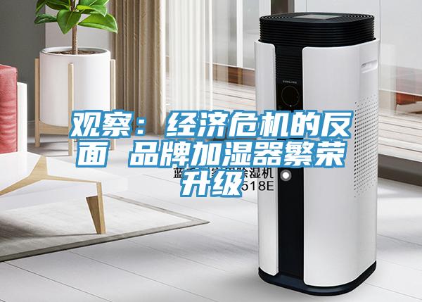 觀察：經濟危機的反麵 品牌加濕器繁榮升級