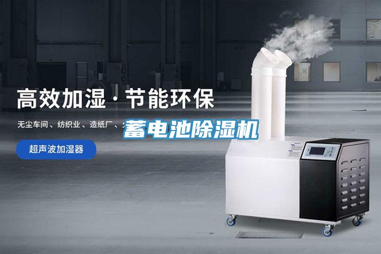 蓄電池91看片网站