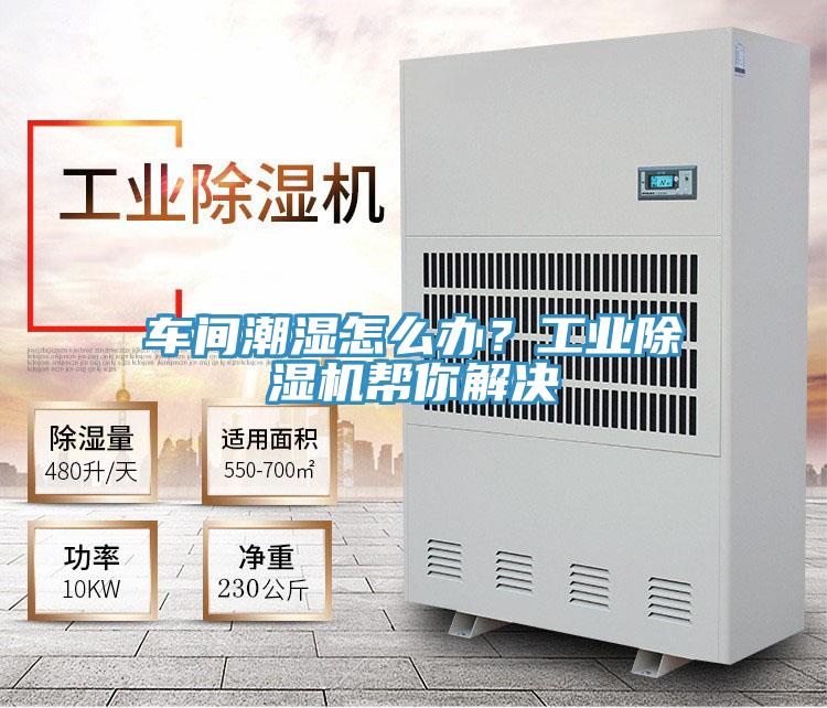 車間潮濕怎麽辦？工業91看片网站幫你解決