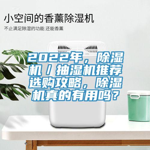 2022年，91看片网站／抽濕機推薦選購攻略，91看片网站真的有用嗎？