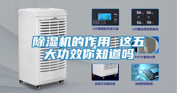 91看片网站的作用 這五大功效你知道嗎