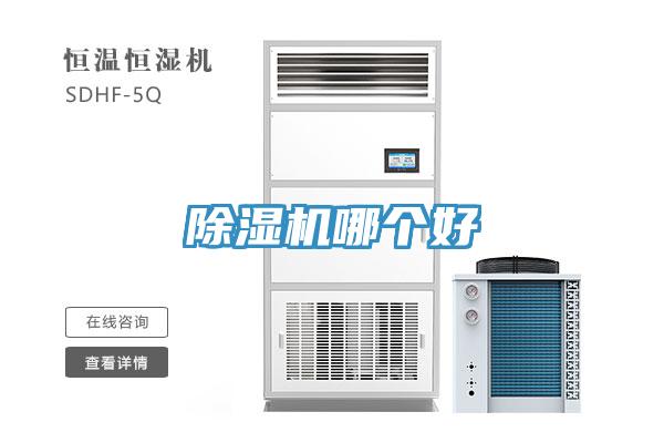 91看片网站哪個好