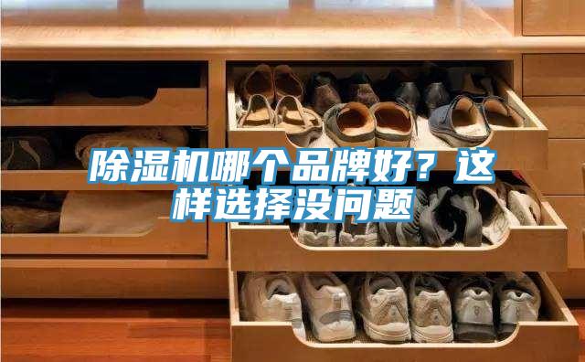 91看片网站哪個品牌好？這樣選擇沒問題
