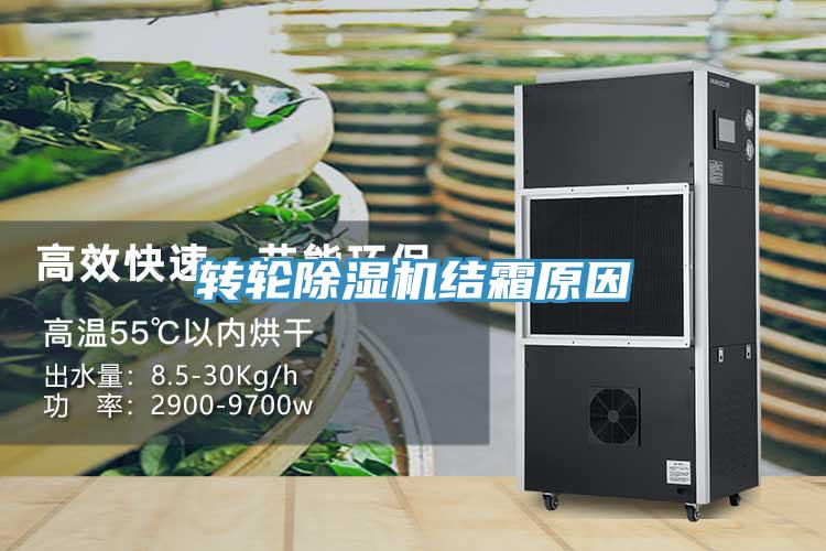轉輪91看片网站結霜原因