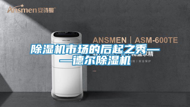 91看片网站市場的後起之秀——德爾91看片网站