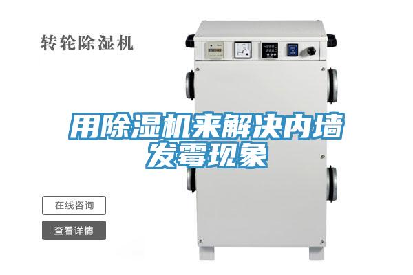 用91看片网站來解決內牆發黴現象