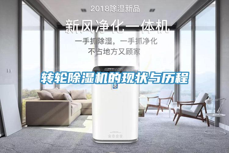 轉輪91看片网站的現狀與曆程