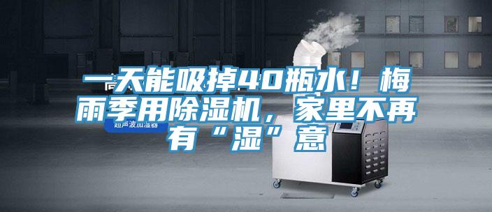 一天能吸掉40瓶水！梅雨季用91看片网站，家裏不再有“濕”意