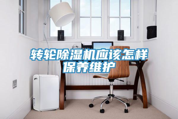 轉輪91看片网站應該怎樣保養維護