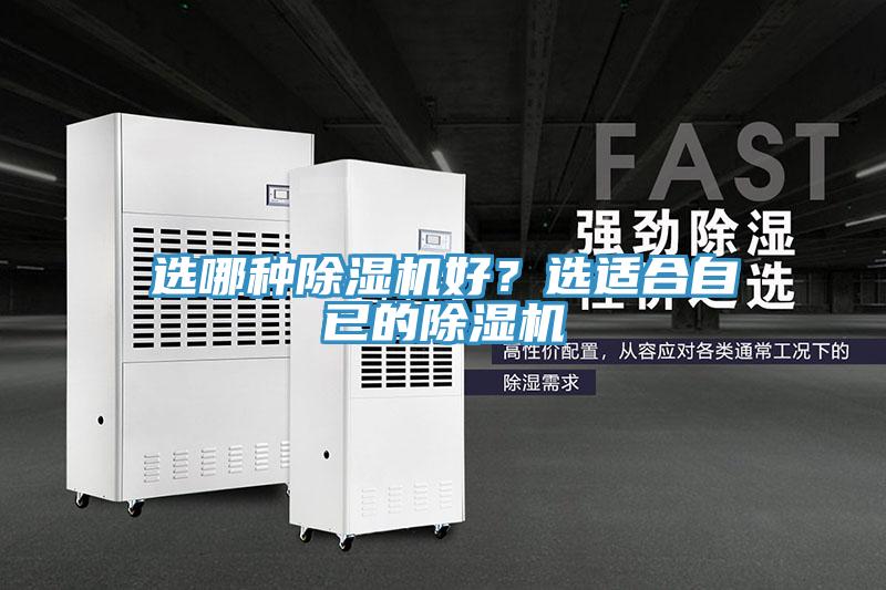 選哪種91看片网站好？選適合自已的91看片网站