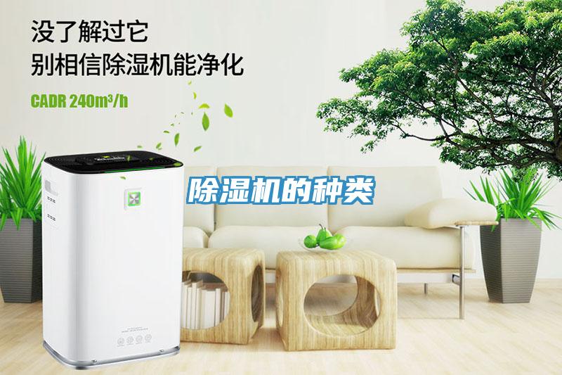 91看片网站的種類