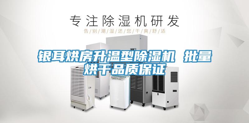 銀耳烘房升溫型91看片网站 批量烘幹品質保證