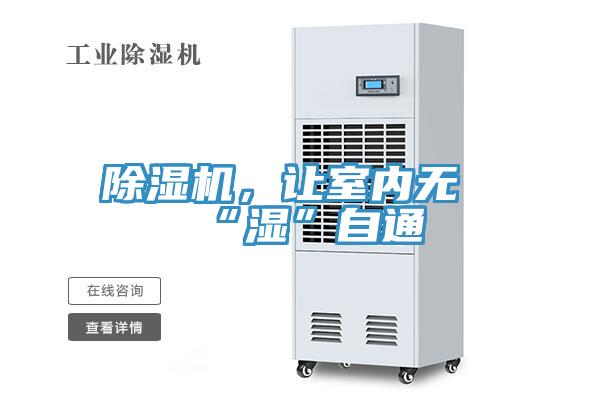 91看片网站，讓室內無“濕”自通