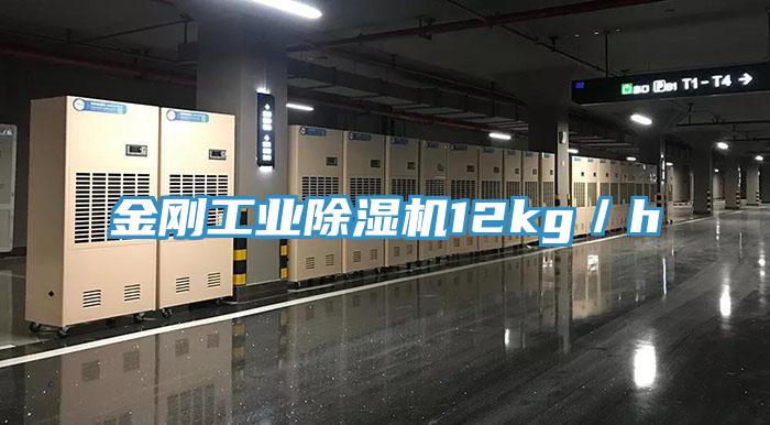 金剛工業91看片网站12kg／h