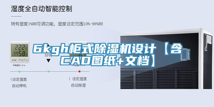 6kgh櫃式91看片网站設計【含CAD圖紙+文檔】
