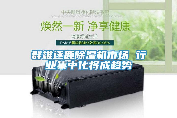 群雄逐鹿91看片网站市場 行業集中化將成趨勢