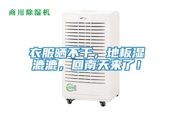 衣服曬不幹，地板濕漉漉，回南天來了！