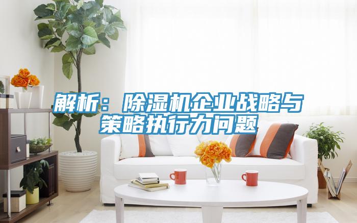 解析：91看片网站企業戰略與策略執行力問題