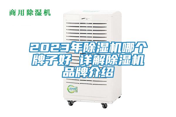 2023年91看片网站哪個牌子好 詳解91看片网站品牌介紹