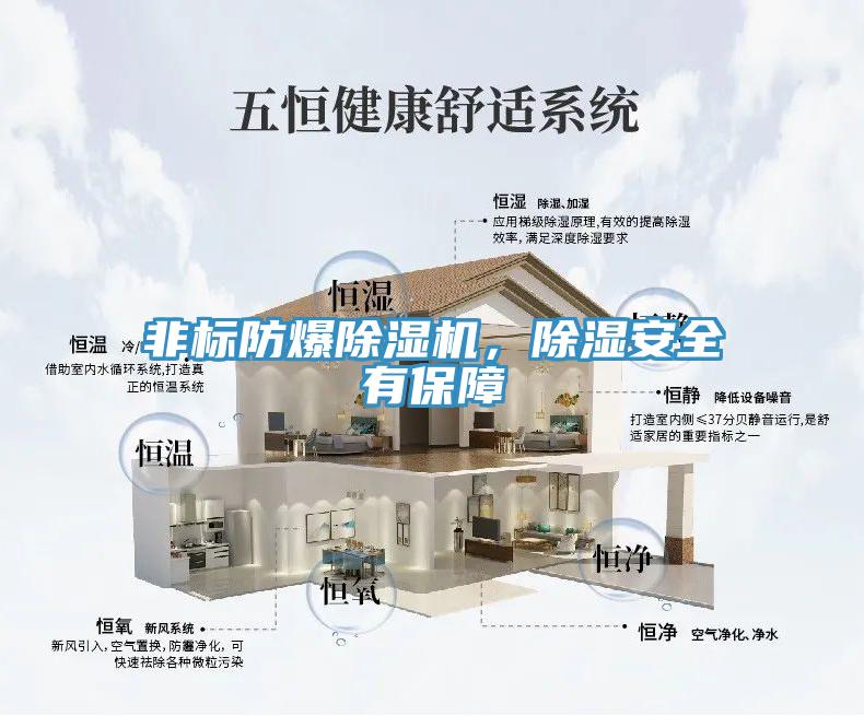 非標防爆91看片网站，除濕安全有保障
