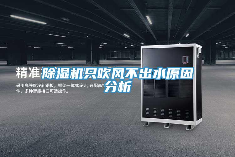 91看片网站隻吹風不出水原因分析