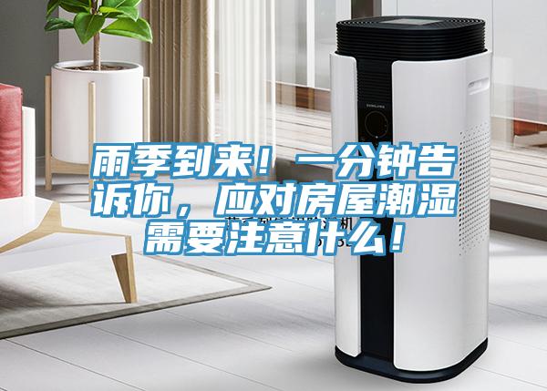 雨季到來！一分鍾告訴你，應對房屋潮濕需要注意什麽！