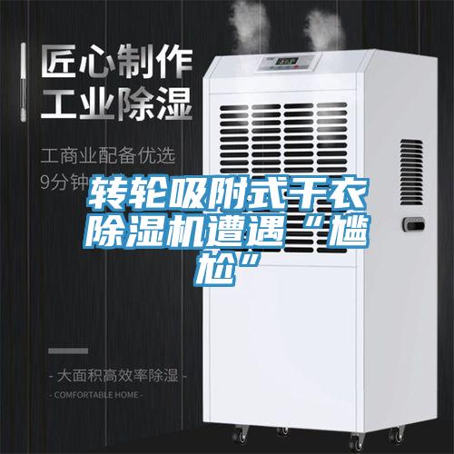轉輪吸附式幹衣91看片网站遭遇“尷尬”