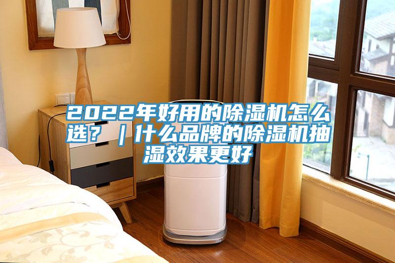 2022年好用的91看片网站怎麽選？｜什麽品牌的91看片网站抽濕效果更好